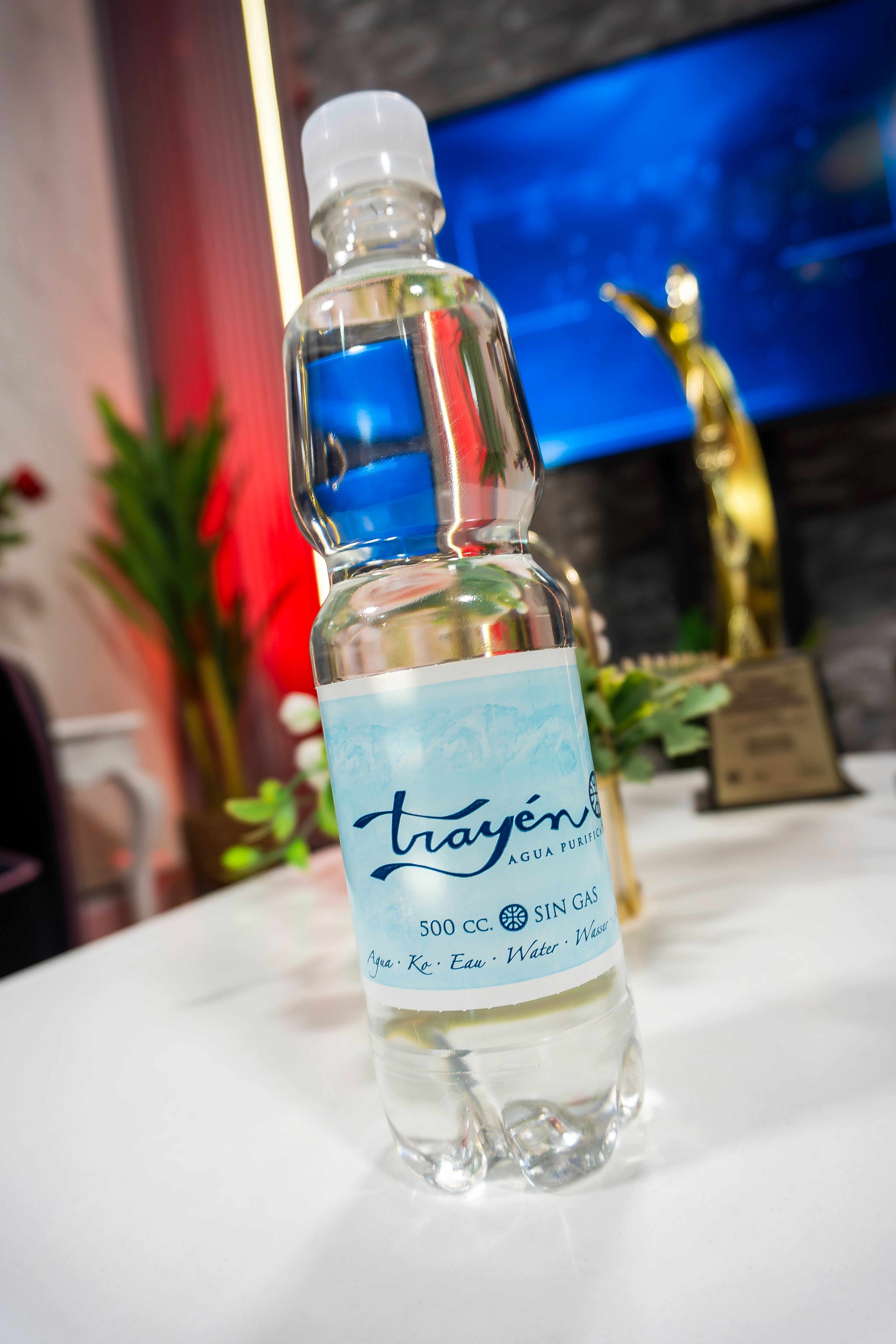 Pack 12 unidades botellas 500cc